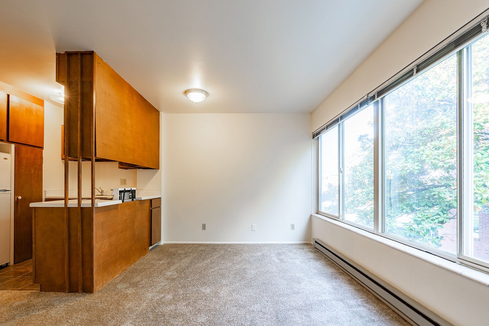 Interior Photo - Kelo