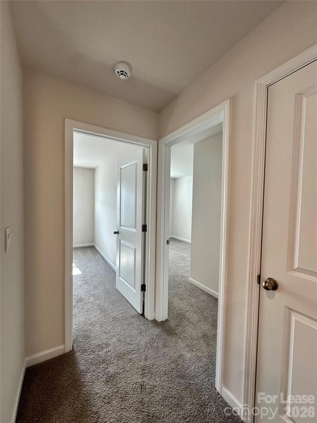 Building Photo - 1603 Blue Velvet Ln