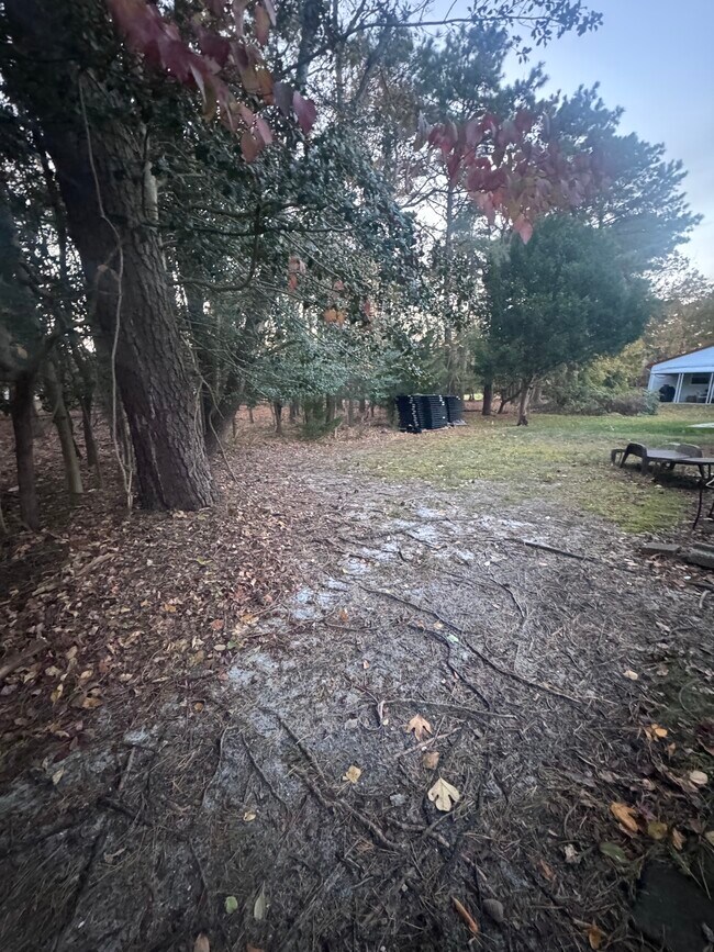 Building Photo - 6A Winthrop Pl