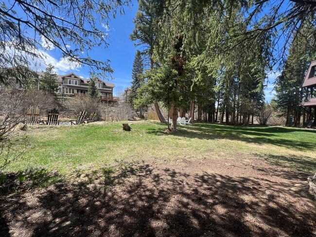 Building Photo - Beautifully updated condo in Winter Park