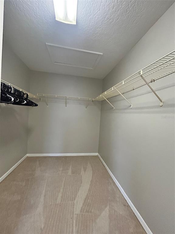 Building Photo - 1244 Ocklawaha Dr