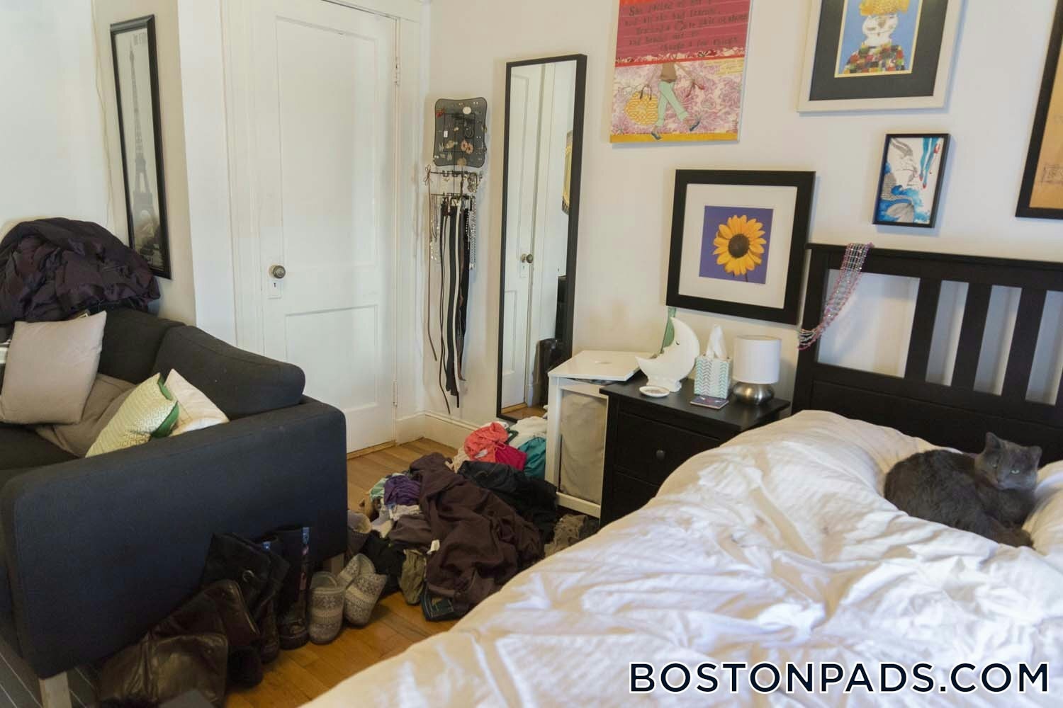 Building Photo - 143 Park Dr