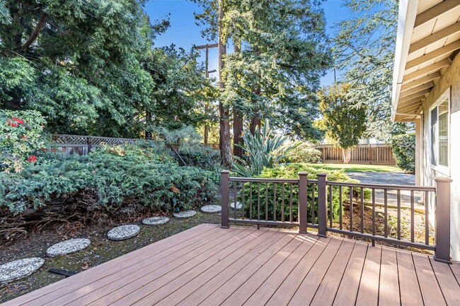 Building Photo - Beautiful Remodeled 5-Bedroom Los Altos Home