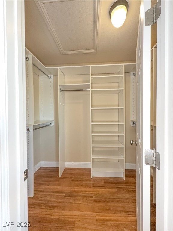 Building Photo - 1353 Robbers Roost Ave