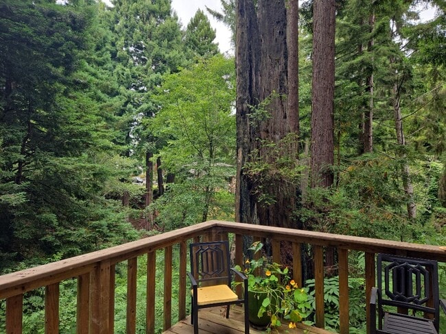 Building Photo - Pet Friendly! Redwood views! 3-bedroom hom...