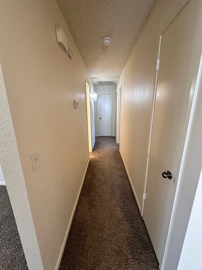 Building Photo - Available Soon!