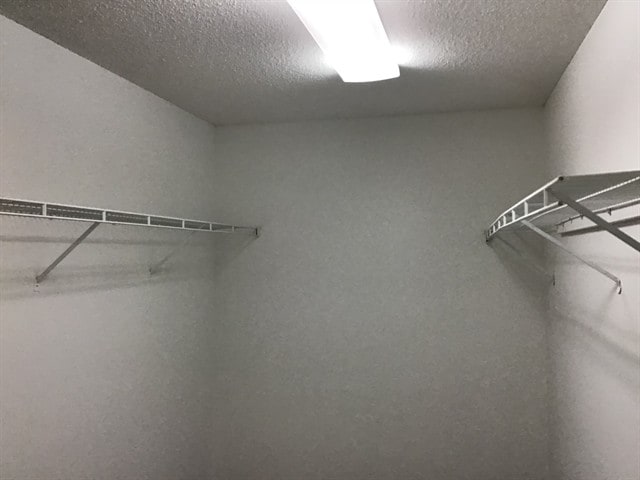 Building Photo - 3232 Spring Mesa Dr SW