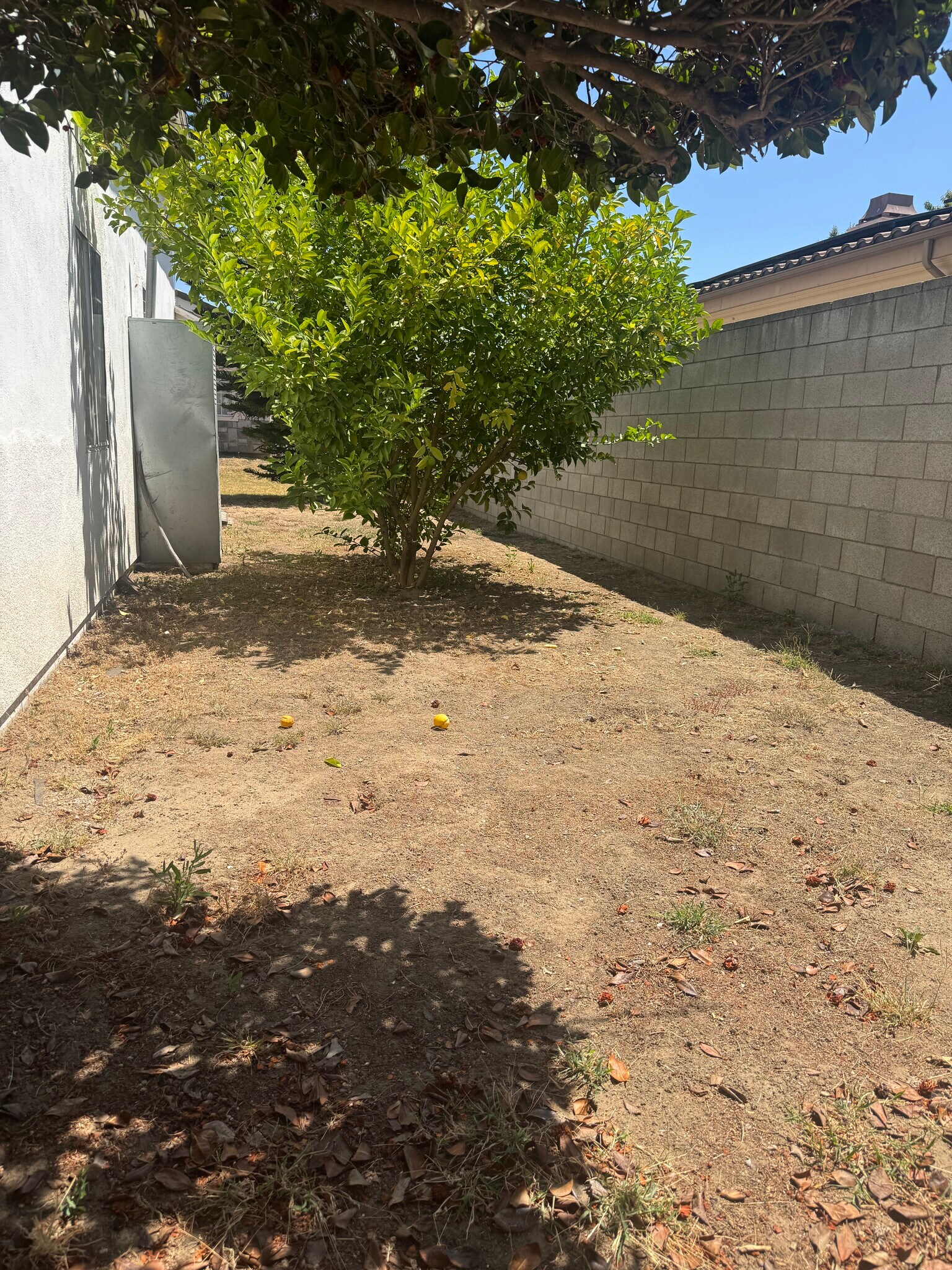 Building Photo - 758 W Longden Ave