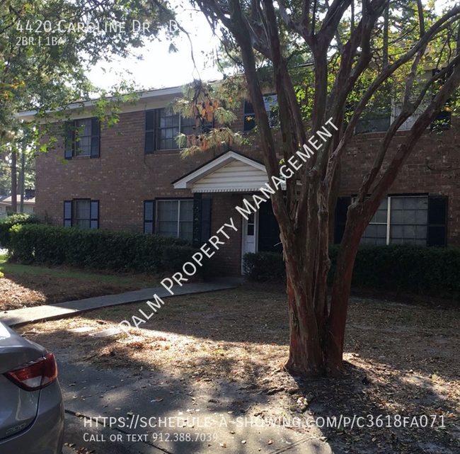 Primary Photo - 2 BR/1BA apartment available in great loca...