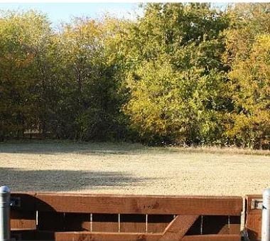 Green Belt behind the house - 3217 Judge Holland Ln