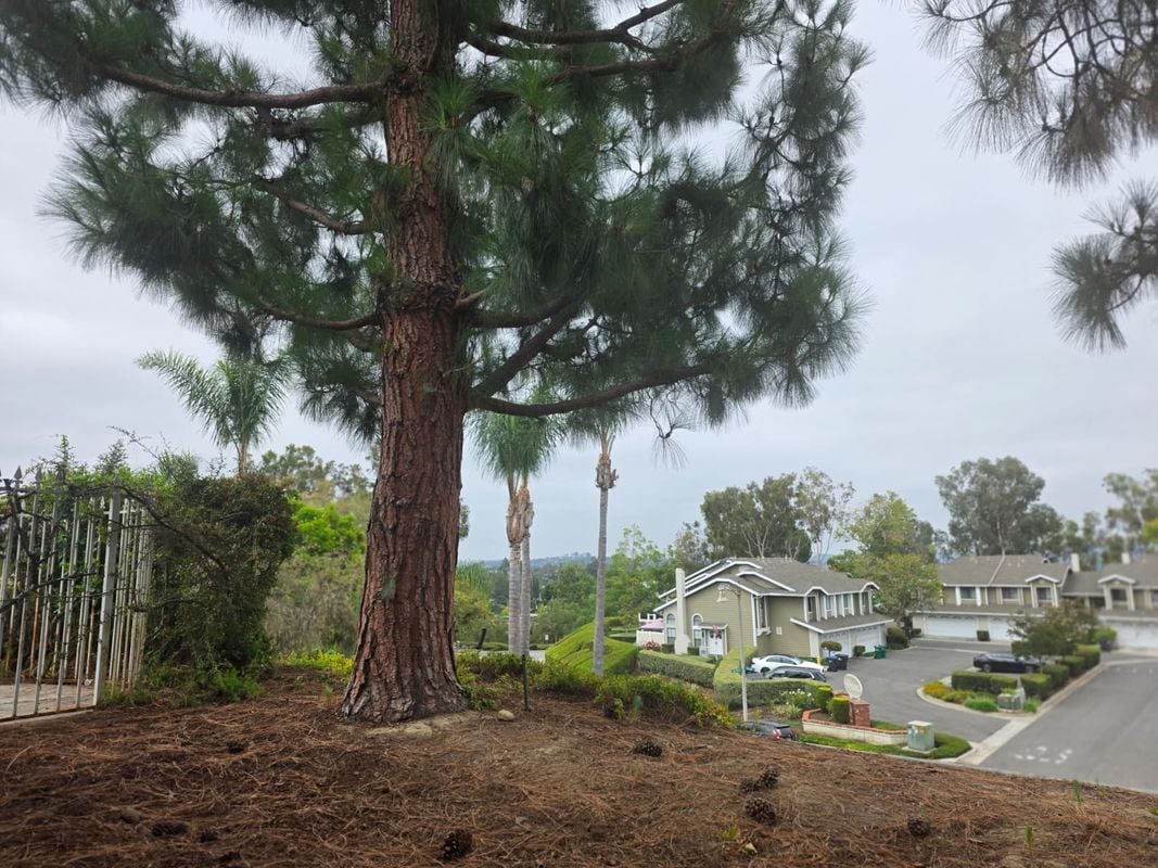 Building Photo - 23395 La Crescenta