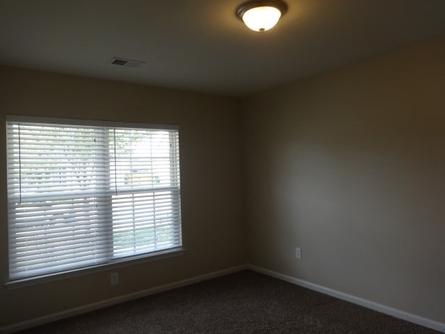 Building Photo - 1100 Briar Rose Ln