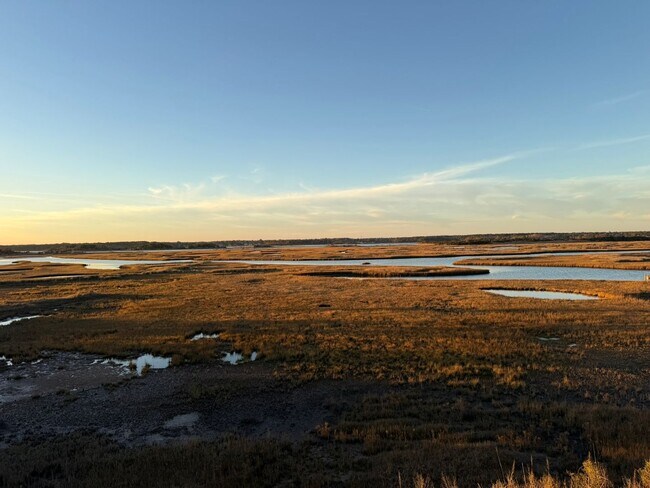 Building Photo - Luxury Coastal Living in Surf City -117 S Boca Bay Ln