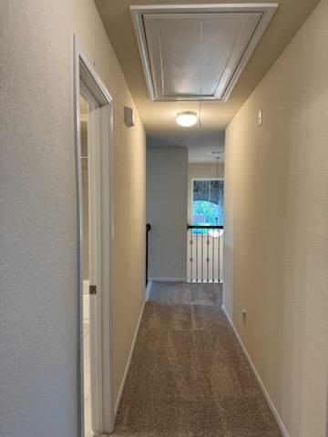 Building Photo - 3036 Tulip Poplar Ct