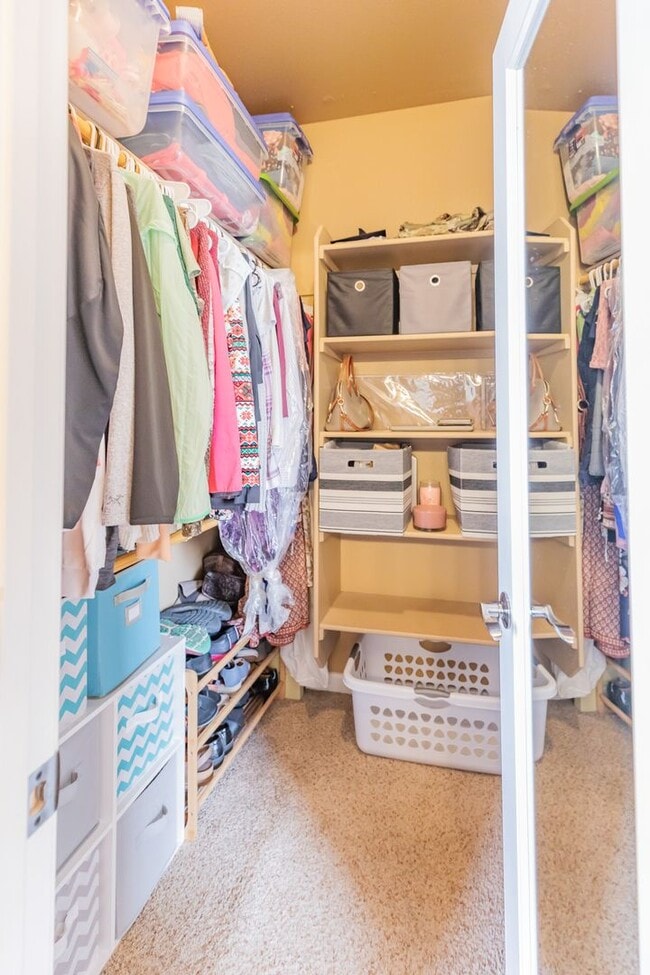 Building Photo - Beautiful 3 Bed 2 Bath Home