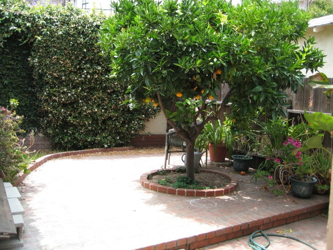 Building Photo - 1283 Devon Ave