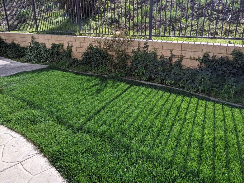 Smaller backyard with grass - 598 Via del Caballo