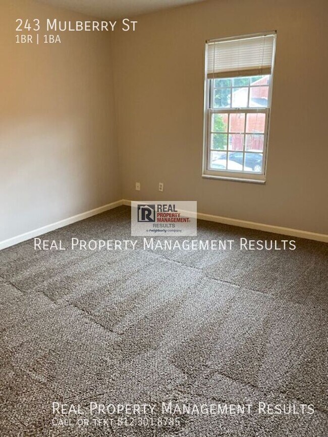 Building Photo - 243 Mulberry St