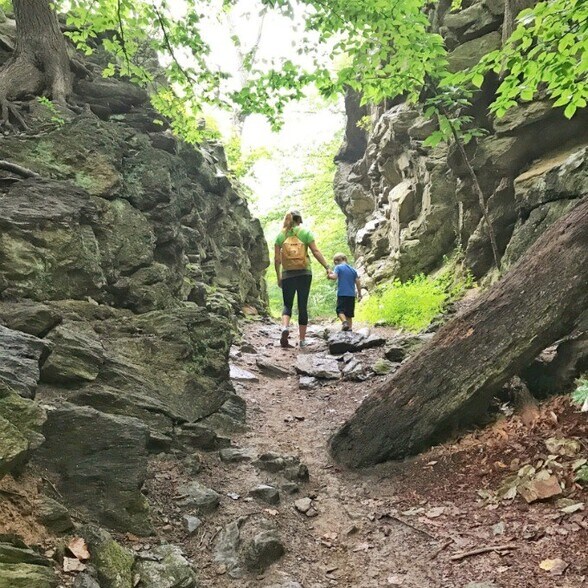 Building Photo - 6655 Musgrave St