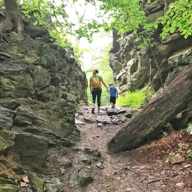 Building Photo - 6655 Musgrave St