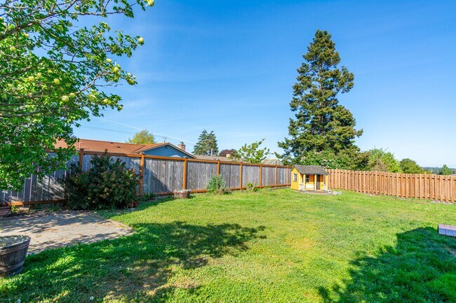 Building Photo - 3 Bedroom 2 Bath Single Story Home - Fenced Backyard