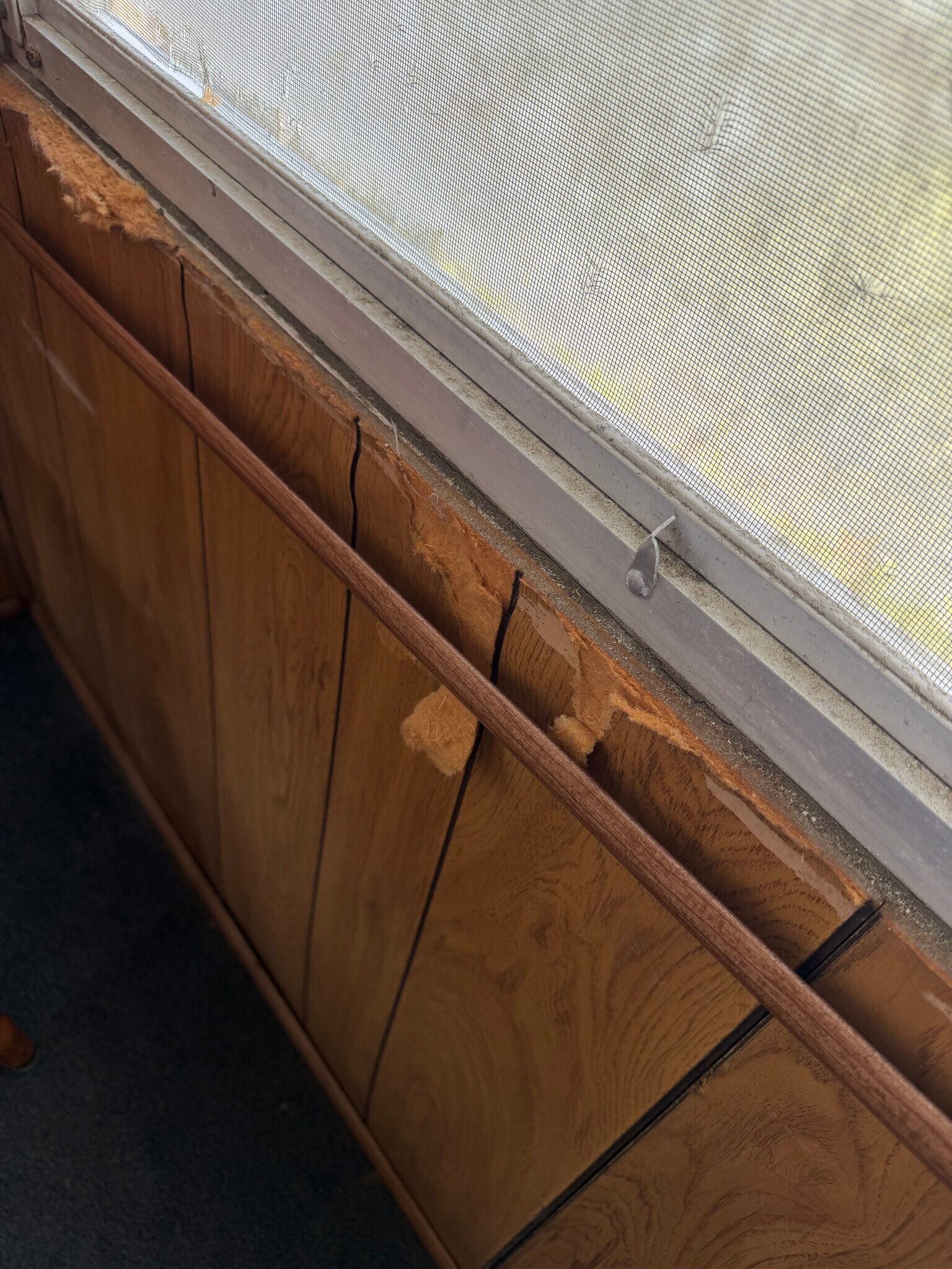 Building Photo - 110 Kon Tiki Ter