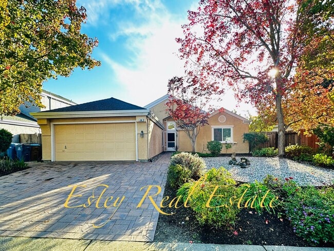 Primary Photo - Single Story Court location