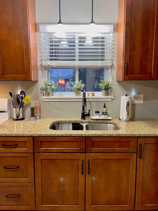 Another view of the kitchen overlooking the backyard and patio. - 1237 Giesse Dr