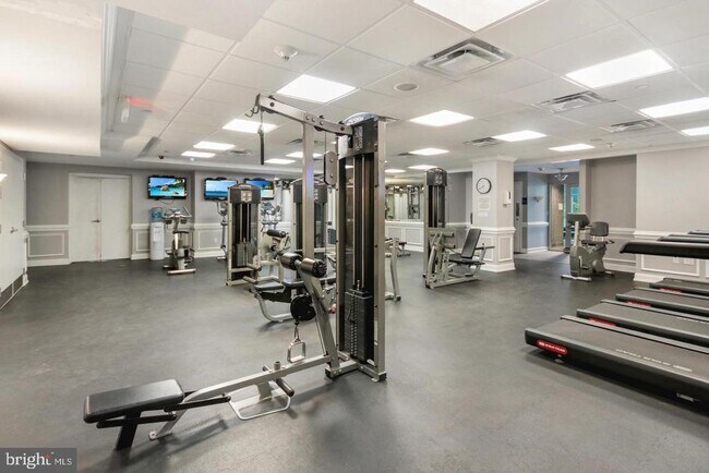 Building Photo - 206 Carson Terrace