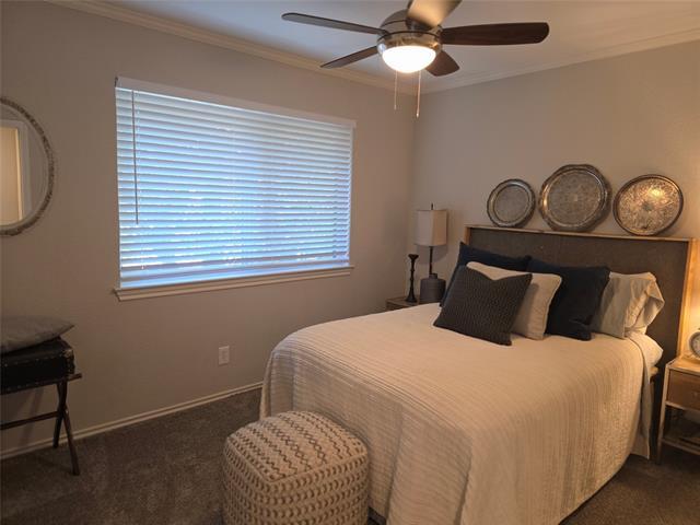 Building Photo - 2612 Custer Pkwy