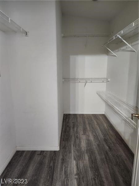 Building Photo - 1595 Raining Hills St