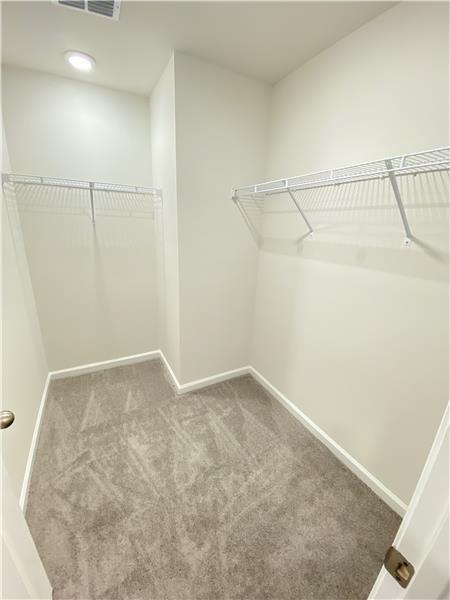 Building Photo - 180 Benelli Dr