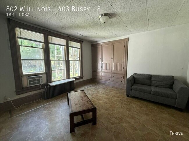 Building Photo - 802 W Illinois St