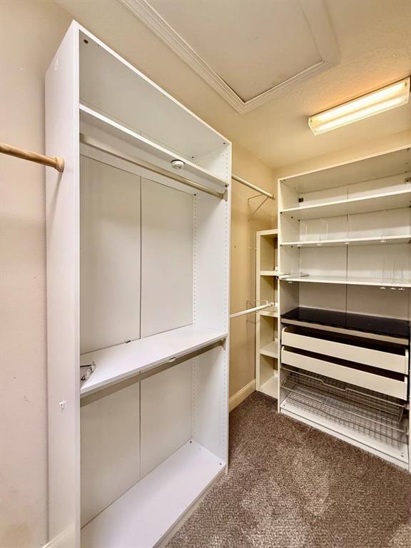 Building Photo - 5405 Cafrey Pl