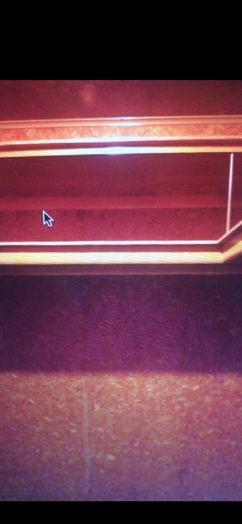 Walking in closet - 805 Flemington St