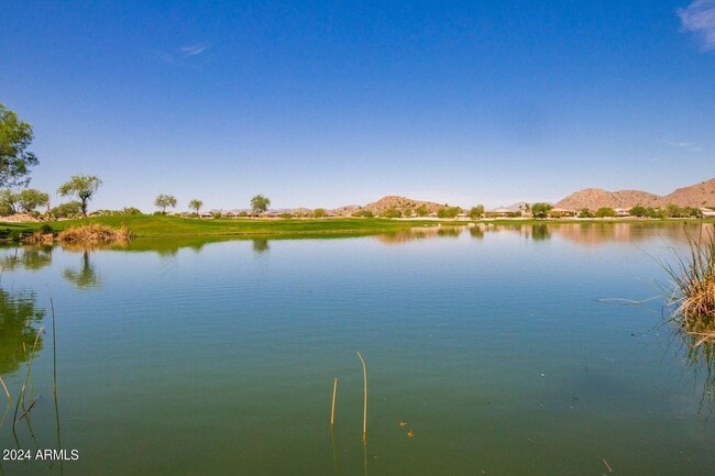 Building Photo - 983 E Palomino Way