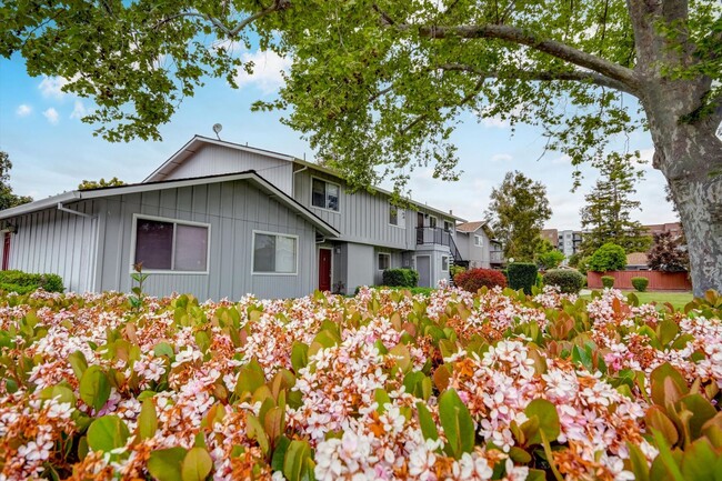 Building Photo - Sunnyvale Meadows Condo
