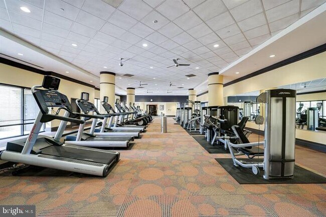 Building Photo - 4500 S Four Mile Run Dr