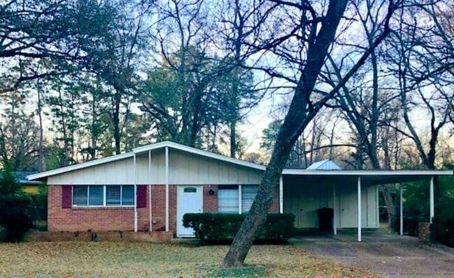 Building Photo - 3 Bedroom Mid-Century Rental