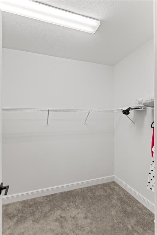 Building Photo - 4022 Large Leaf Ln