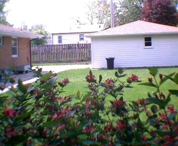 Building Photo - 1403 Maxwell Ave