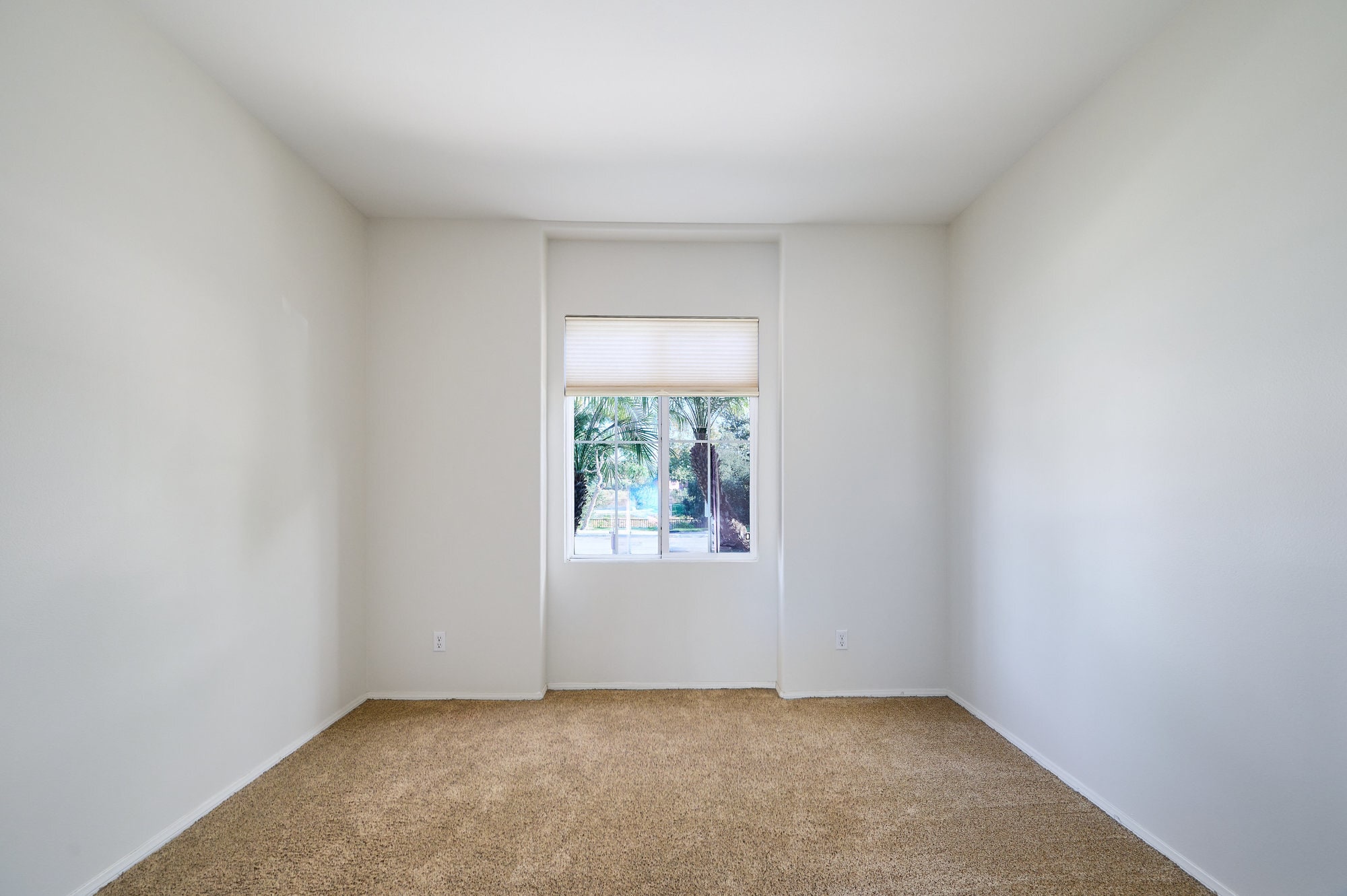Downstair Bedroom - 1807 Alta Vista Pl