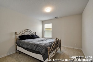 Building Photo - 822 Brown Thrasher