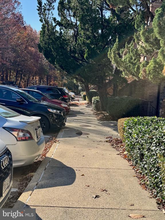 Building Photo - 3885 Steppes Ct