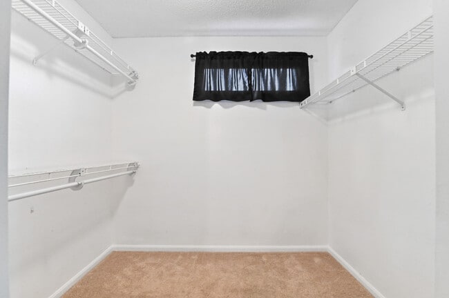 Building Photo - 10297 Hidden Springs Ct