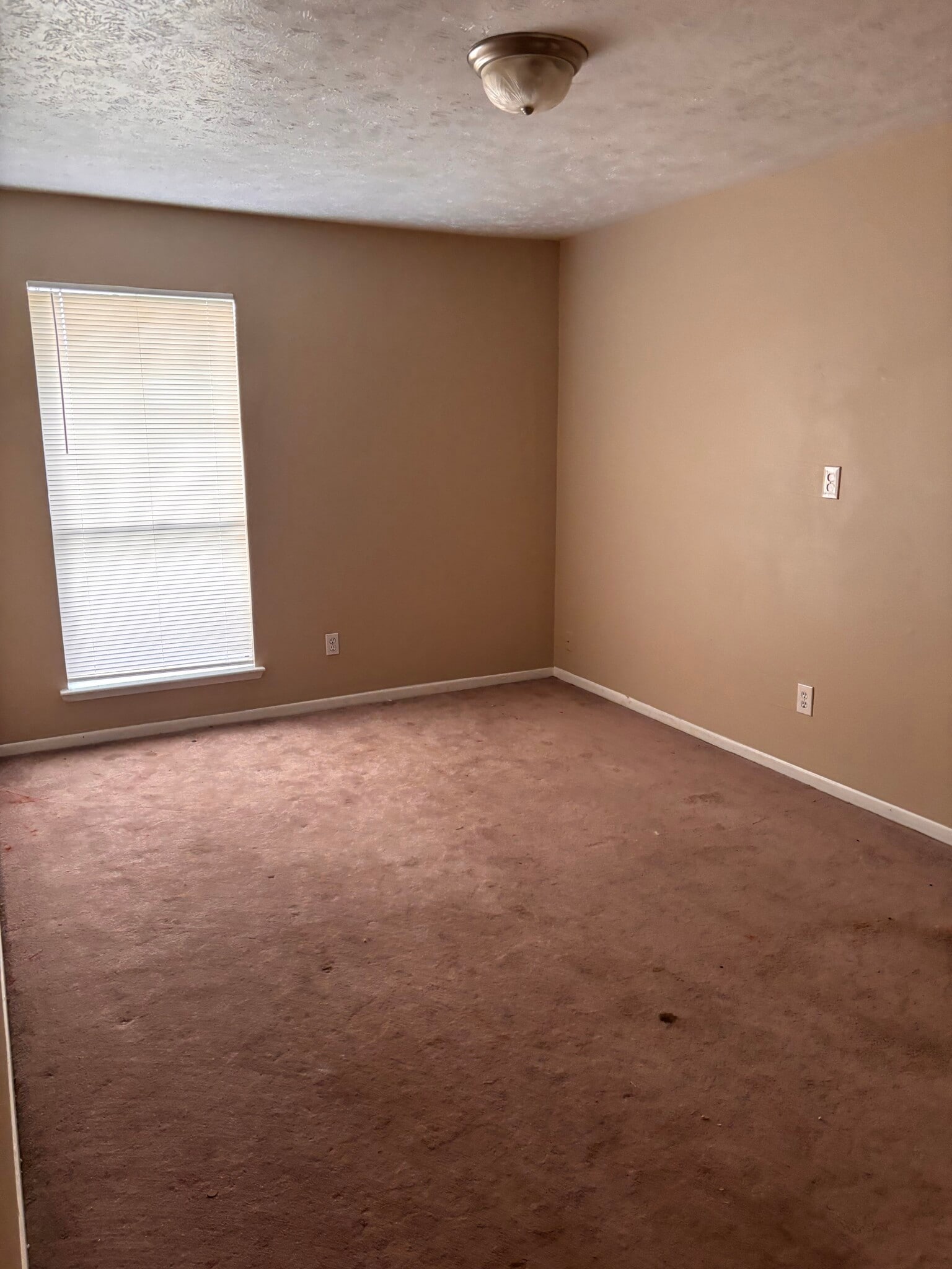 Building Photo - 2570 Buffalo Trl