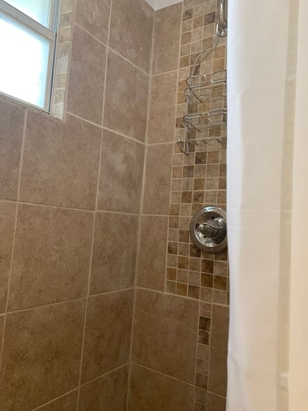Walk-in shower - 118 E Lakeshore Dr