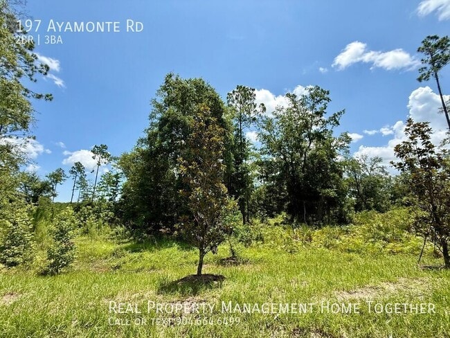 Building Photo - 197 Ayamonte Rd