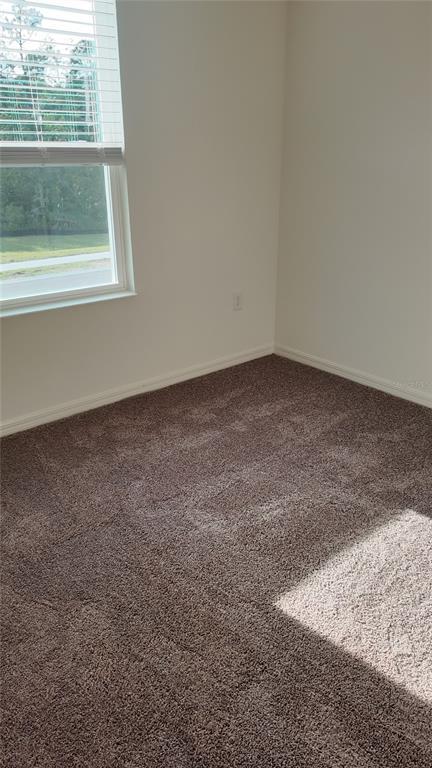 Building Photo - 2798 Raindrop Run St