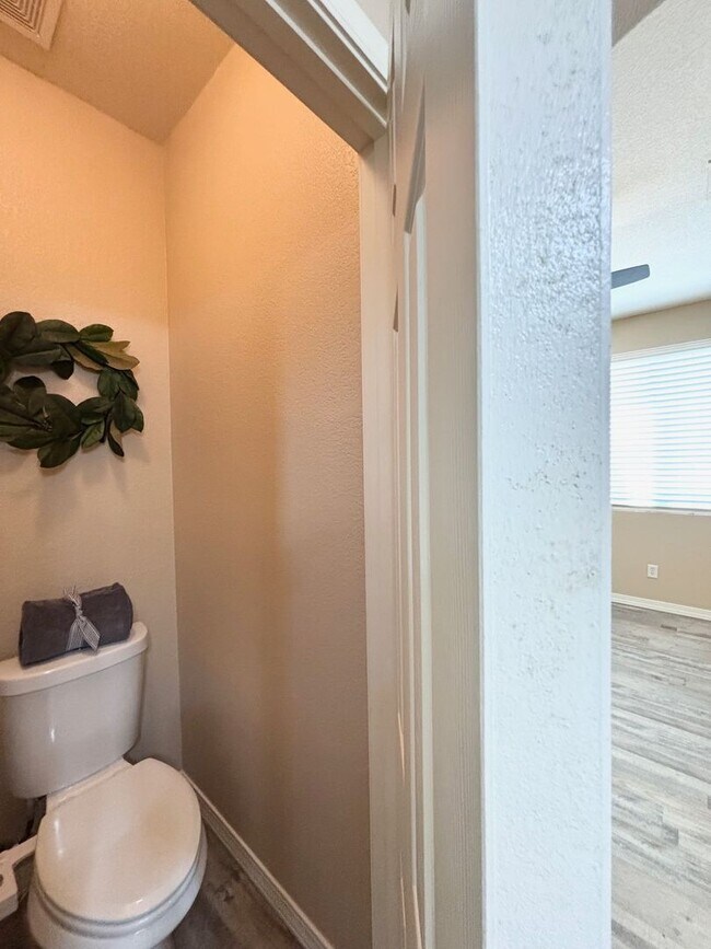 Building Photo - Single Level San Tan Valley Home